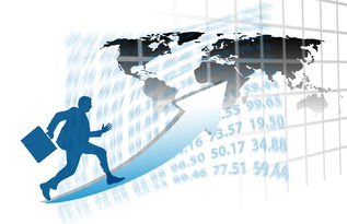 milan.com-中国篮球职业联赛赛事运营风险评估与管理对策，篮球赛事安全风险