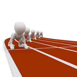 米兰体育官方入口-中国篮球职业联赛赛事风险管理研究，中国篮球协会审定的最新《篮球竞赛规则》