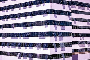 中国米兰体育-中国篮球职业联赛青训体系建设与优化，中国青年篮球队